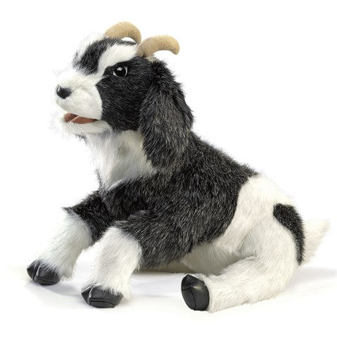 GILLY_THE_GOAT