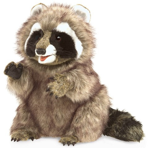 RICKY_THE_Raccoon