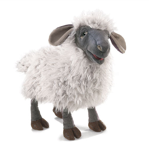 SHEBA_THE_SHEEP