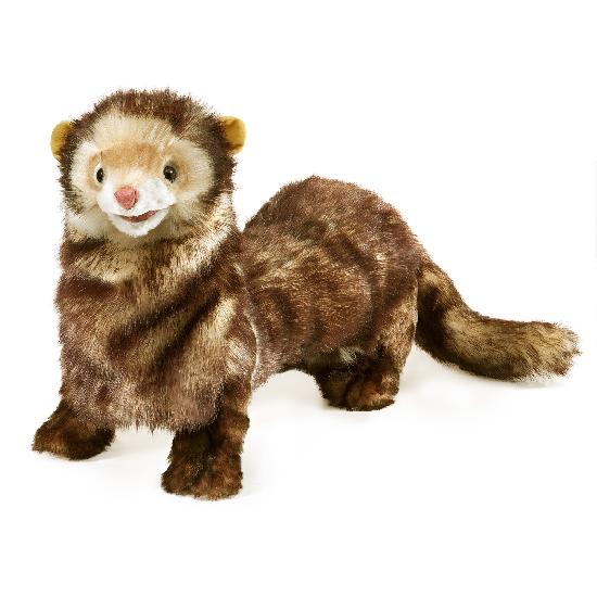 FREDDY_THE_FERRET