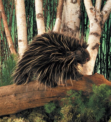 PONZY_THE_Porcupine
