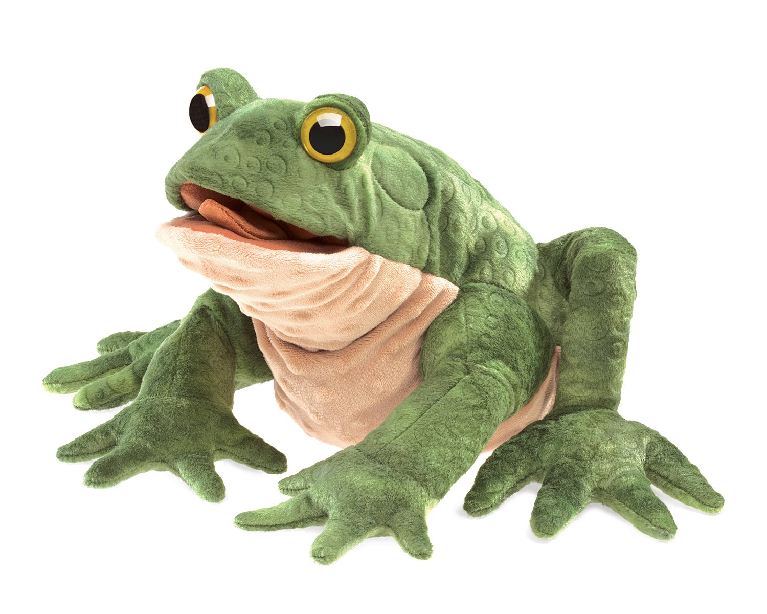 TODD_THE_TOAD